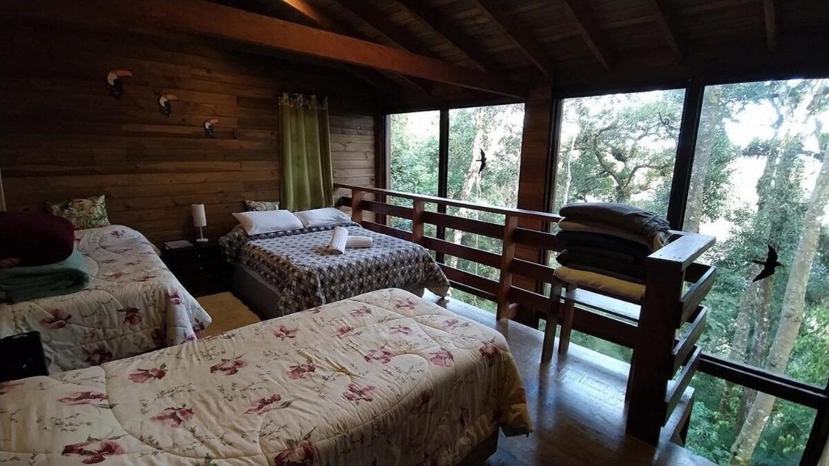 Chale Dos Tucanos- Parede De Vidro Com Linda Vista Campos do Jordão Εξωτερικό φωτογραφία